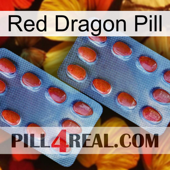 Red Dragon Pill 05.jpg